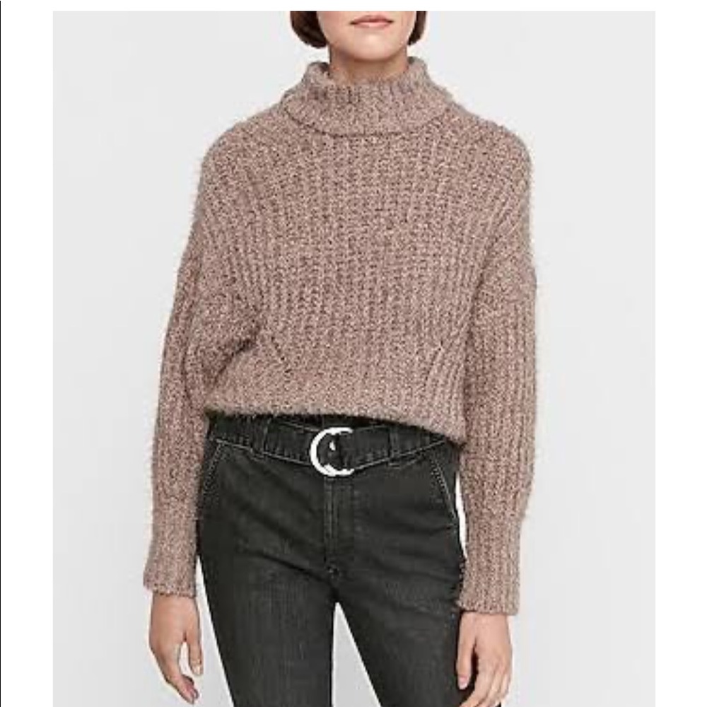 NWT Express Cozy Cropped Mock Neck Sweater